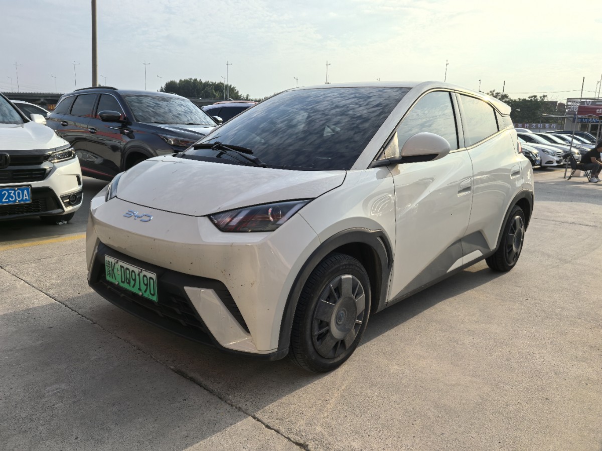 2024 BYD Seagull 305km