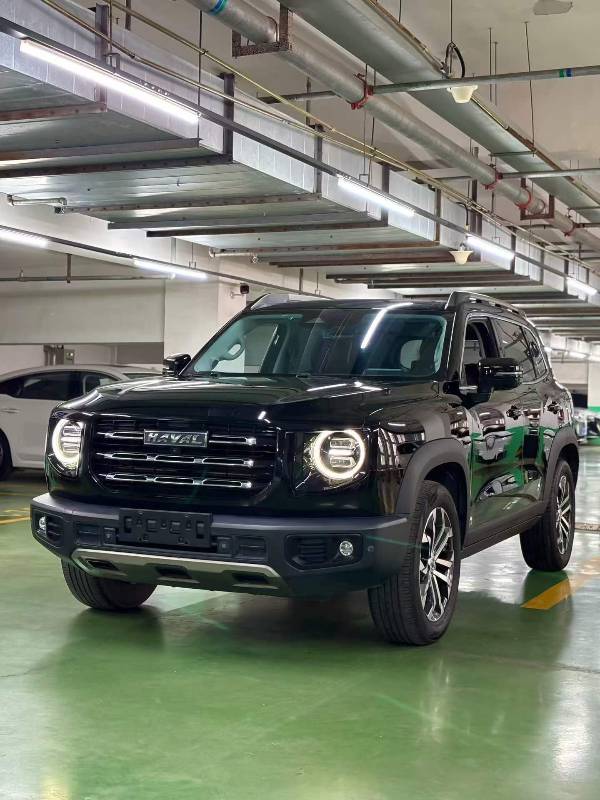 2022 Haval Big Dog 1.5T DCT