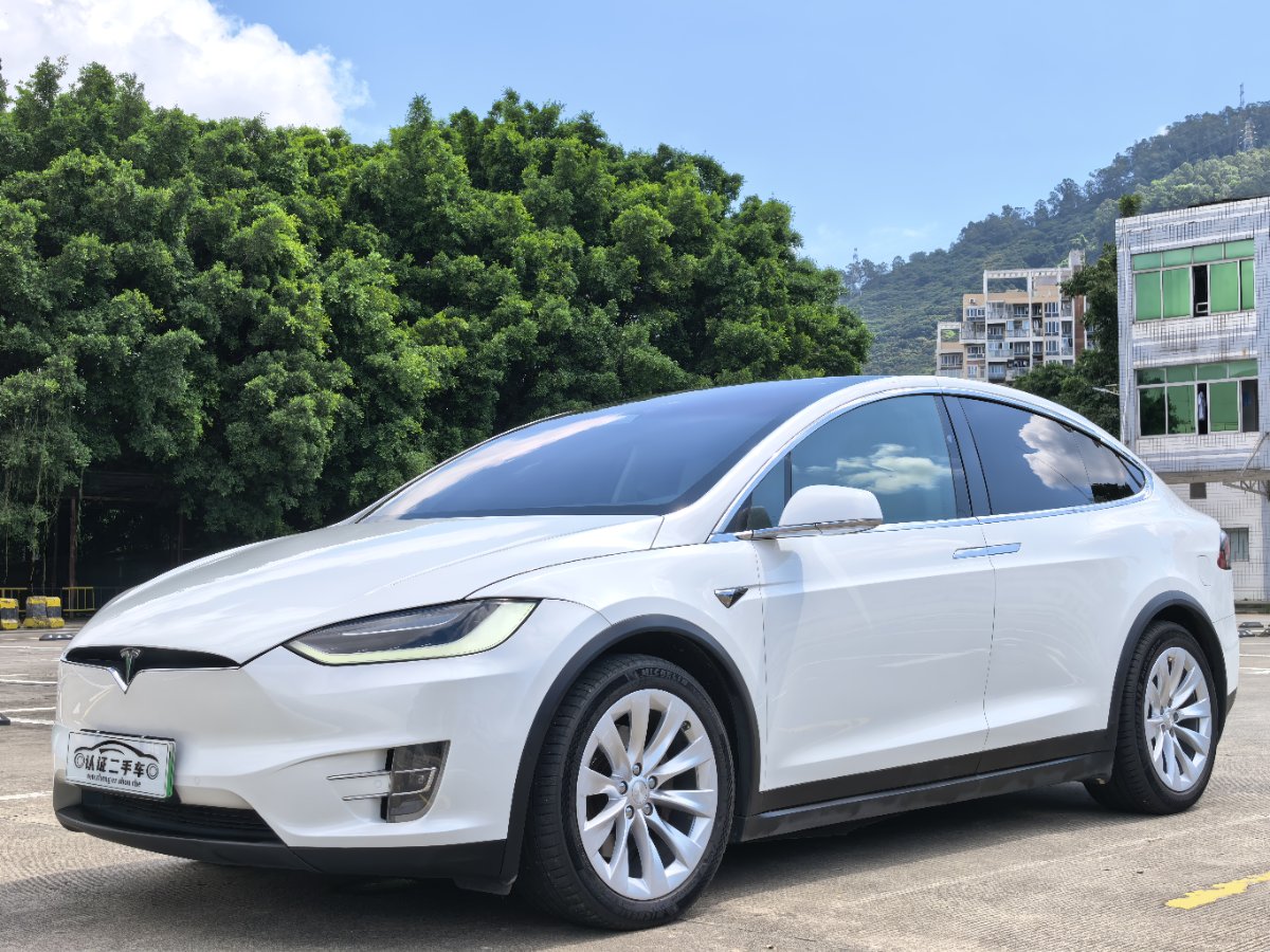 2017 Tesla Model X 100D