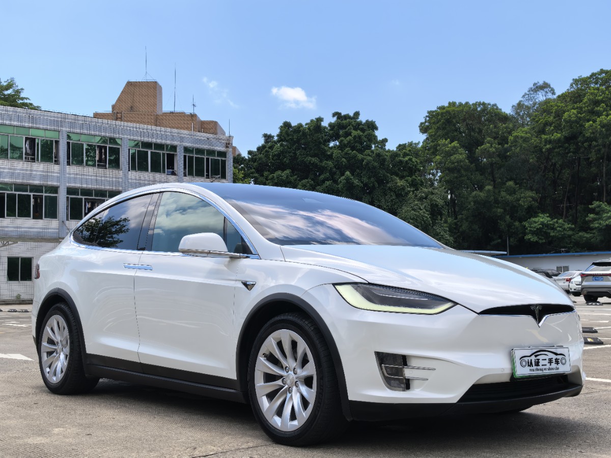 2017 Tesla Model X 100D