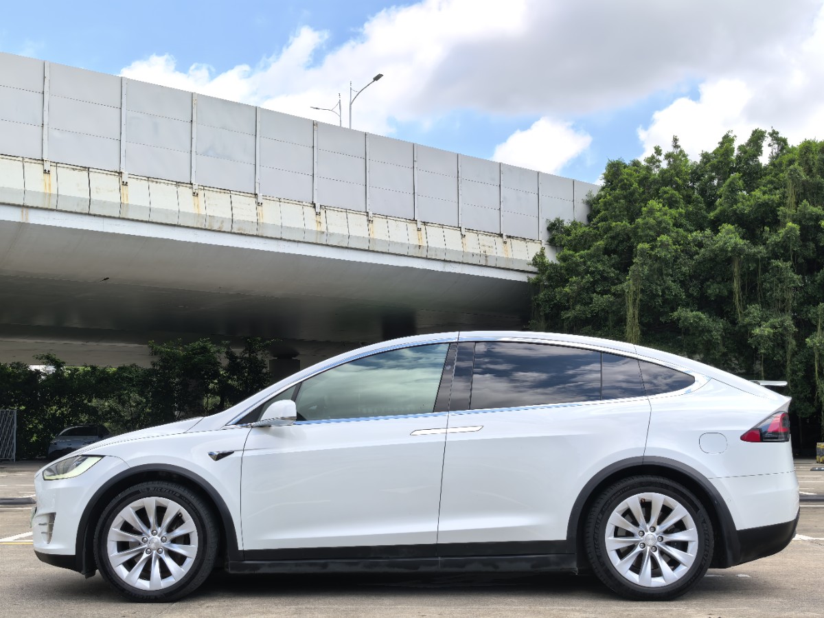 2017 Tesla Model X 100D