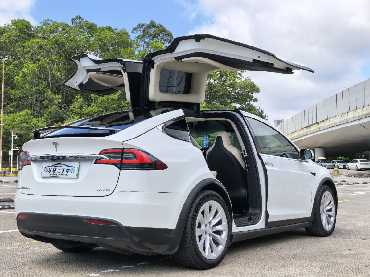 2017 Tesla Model X 100D