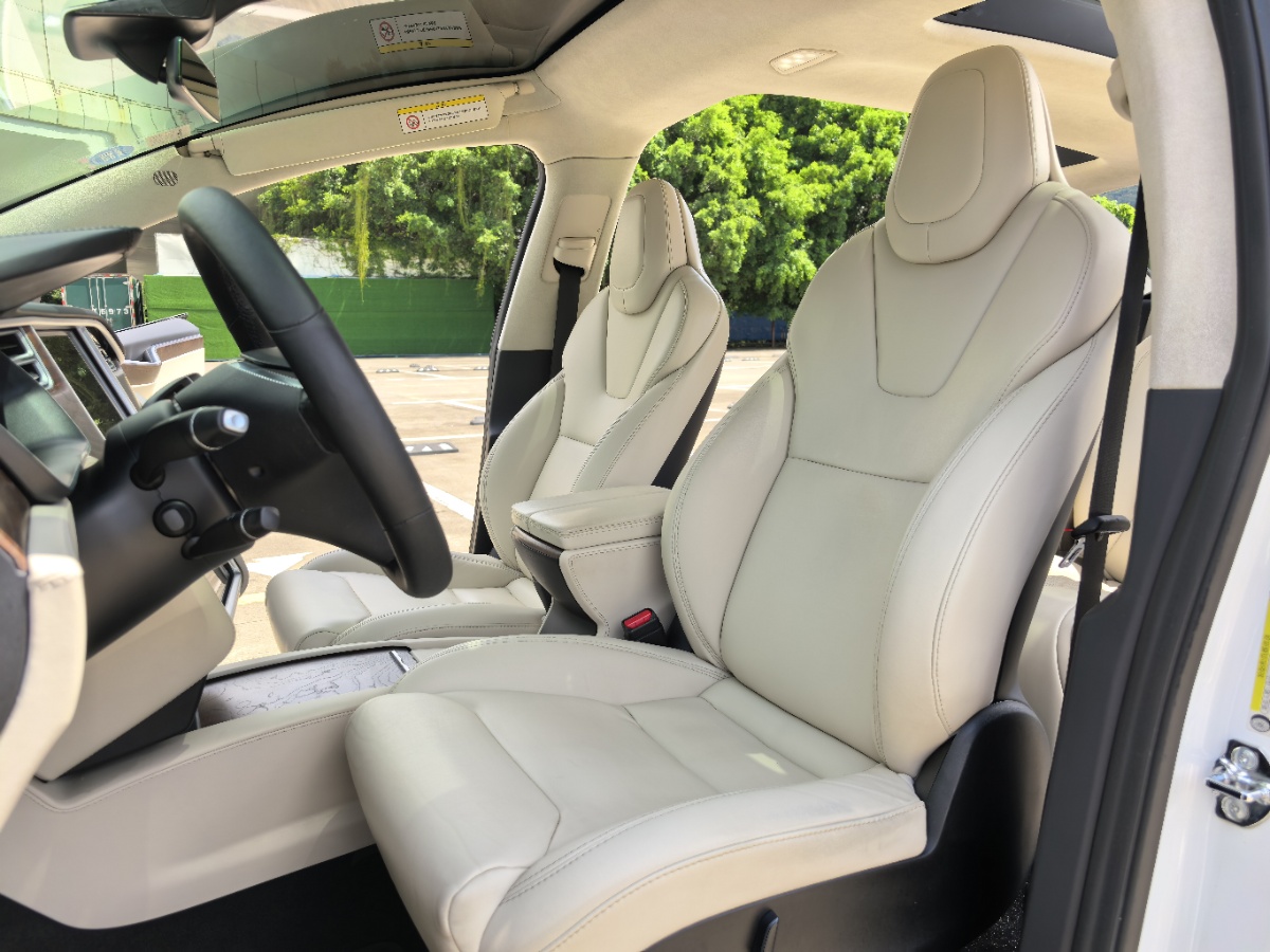 2017 Tesla Model X 100D