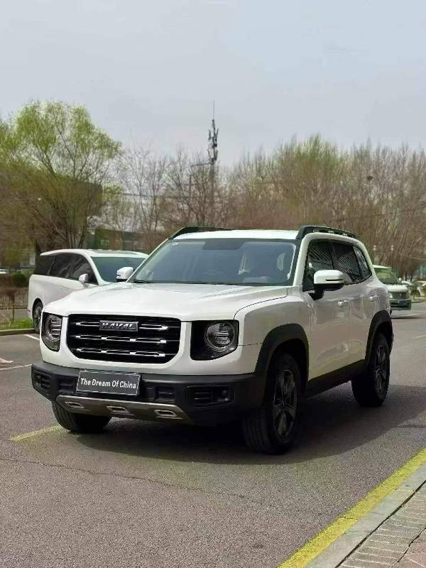 2022 Haval Big Dog 1.5T DCT