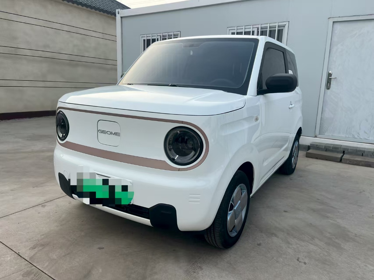 2024 Geely Panda / Panda mini 200km Endurance Edition